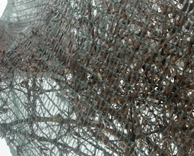Screenshot_20230406-190518_Gallery.jpg
