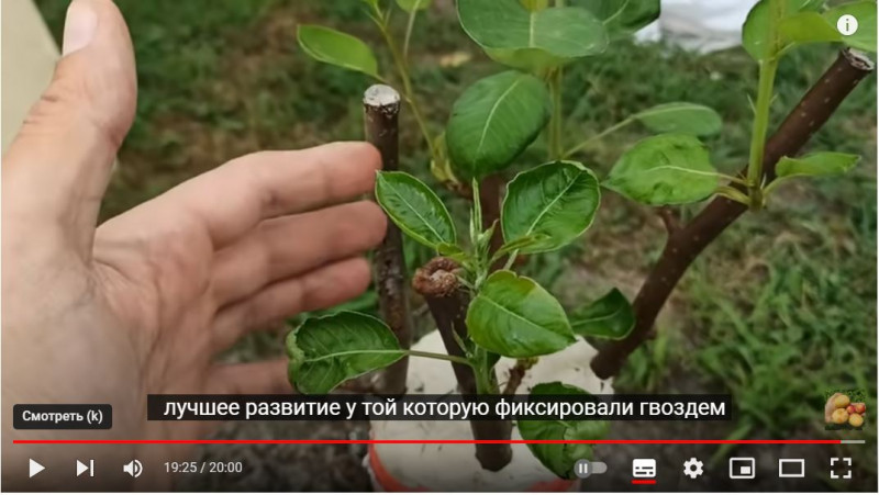 Снимок 5.JPG