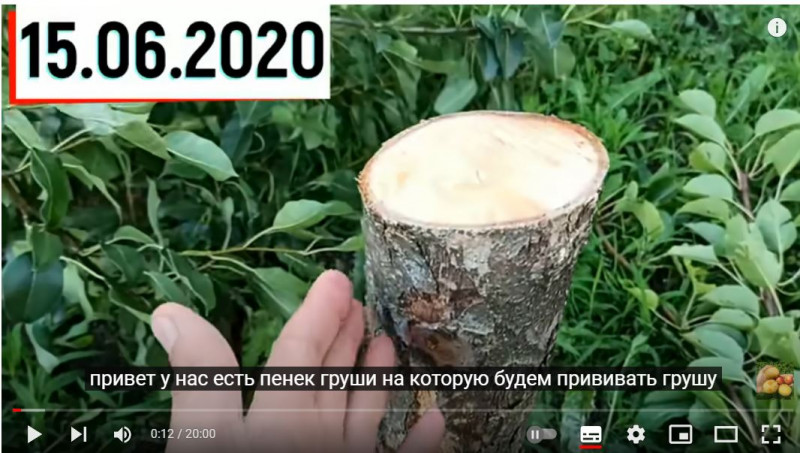 Снимок 0.JPG