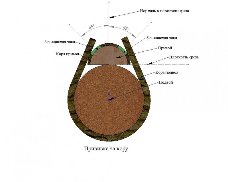 деталь2.jpg