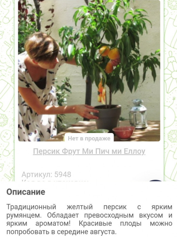 Screenshot_20230217-111003_Chrome-picsay.jpg