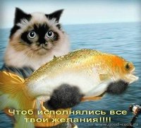 ДР1.jpg