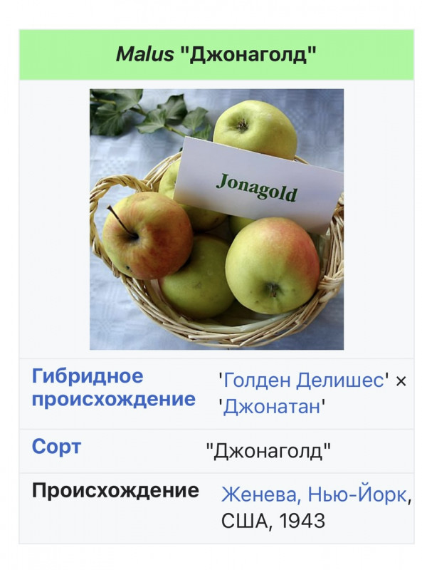 IMG_5348.jpeg