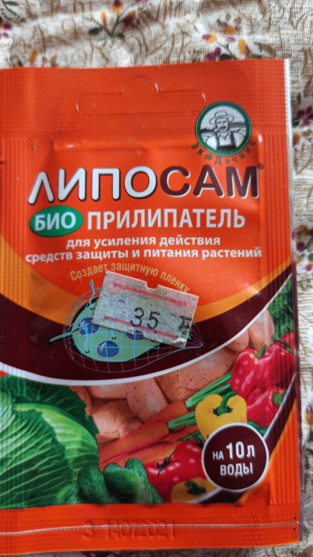 IMG-20230523-WA0013.jpeg