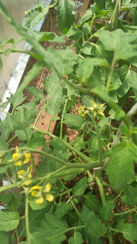 IMG-20230602-WA0005.jpeg