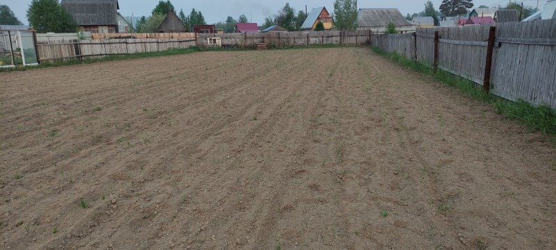 IMG_20230605_210121.jpg
