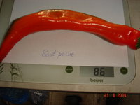 DSC08746.JPG