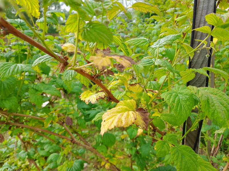 20230617_082700.jpg