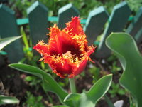 IMG_8160.jpg