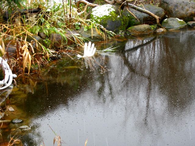 IMG-0730.jpg