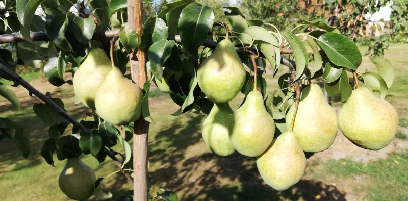 Просто Мария, 09.09.2022 г.
