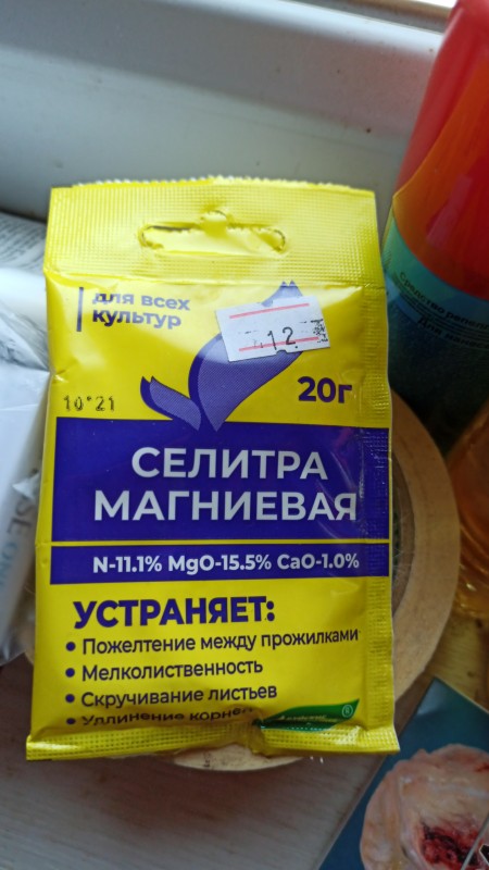 IMG-20230704-WA0032.jpeg