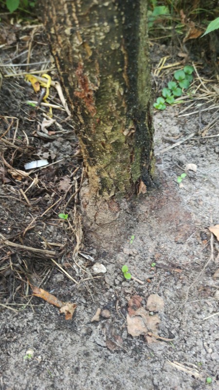 IMG-20230704-WA0104.jpeg