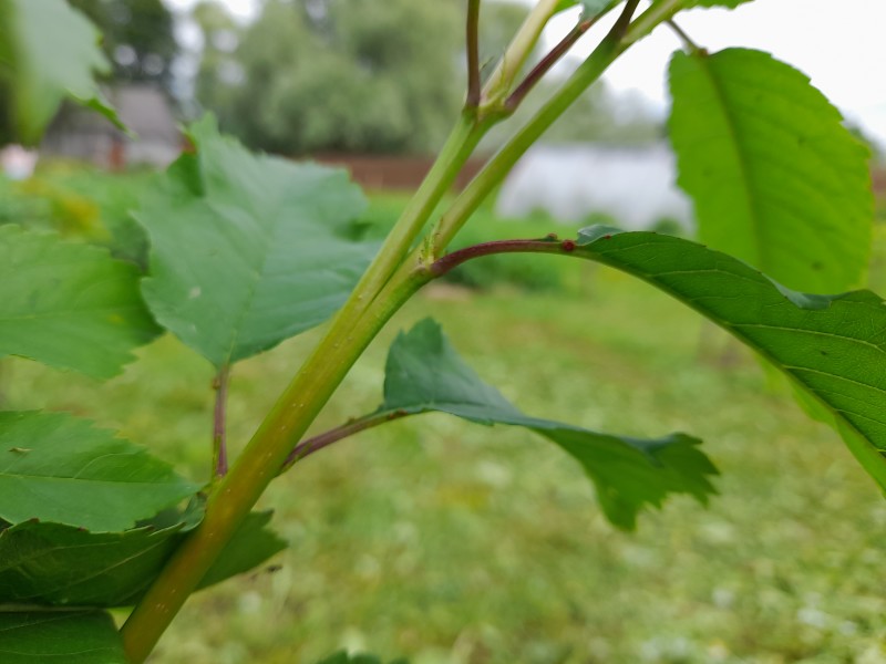 20230707_130946.jpg