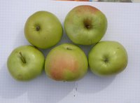 DSC00702.jpg
