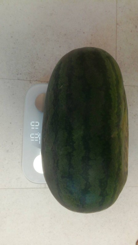 изображение_viber_2023-07-24_20-46-12-055.jpg