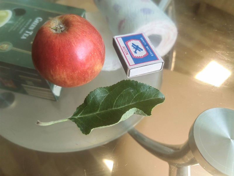 IMG_20230731_125326.jpg