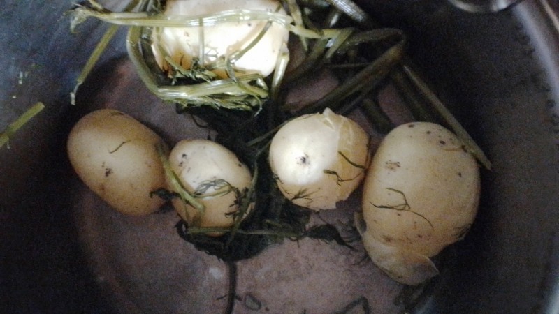 IMG-20230801-WA0017.jpeg