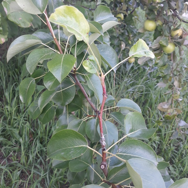 20230802_180110.jpg
