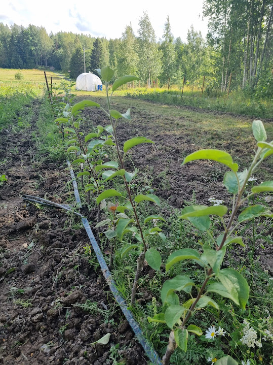 20230805_162037.jpeg