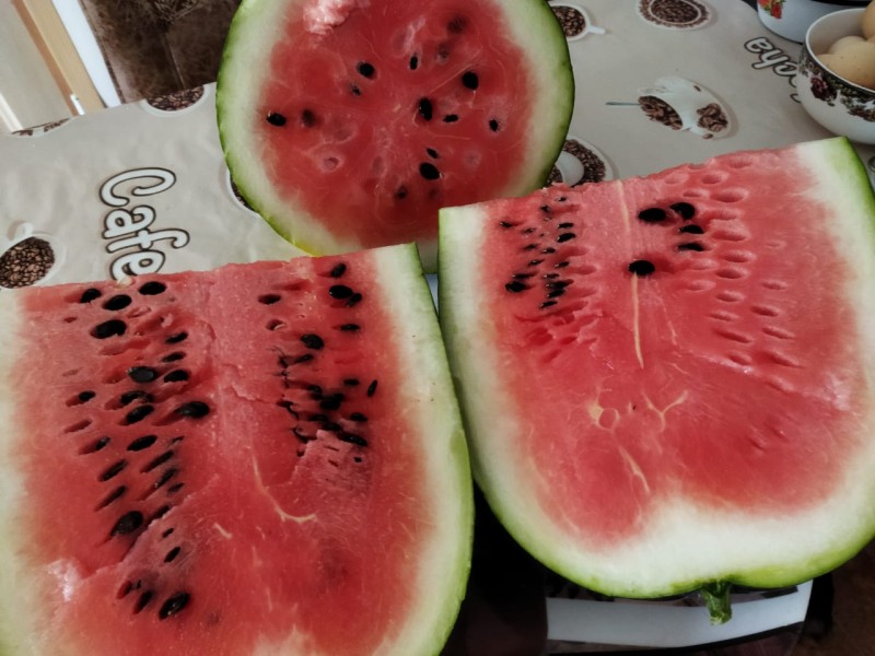 8dc1a5df-dd00-4b91-8e9e-5ddd546b00a4.jpg