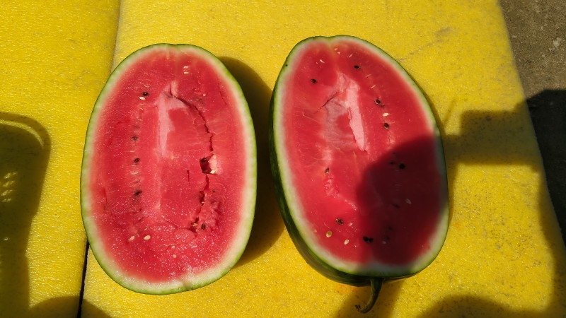 IMG20230809132255.jpg