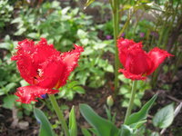IMG_8159.jpg