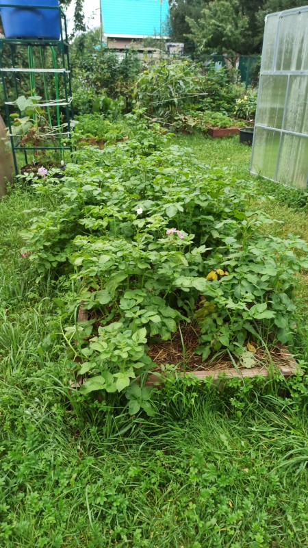 IMG-20230814-WA0005.jpeg