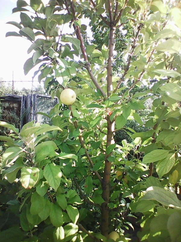 Photo0134.jpg