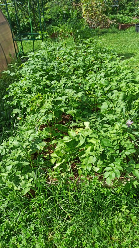 IMG-20230821-WA0005.jpeg