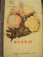 DSC04584 (Small).JPG