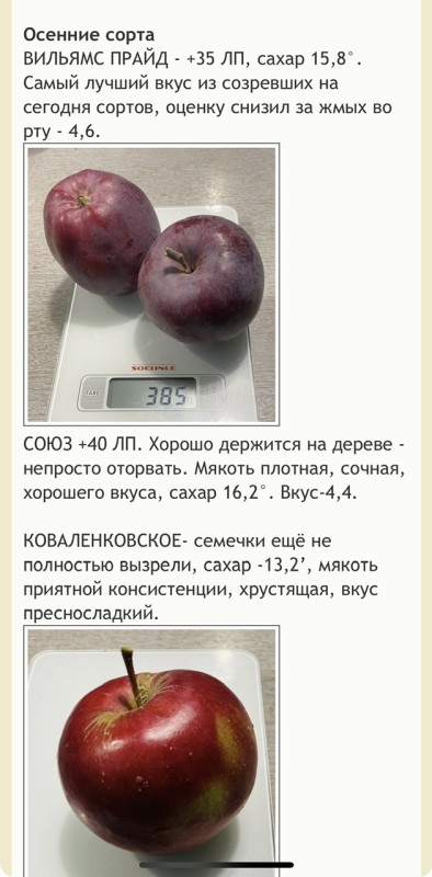 IMG_6079.jpeg