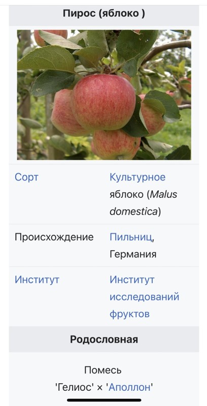 IMG_6097.jpeg