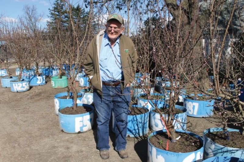 Floyd-Container-growing-864x576.jpg