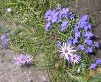 P1011266-2.jpg