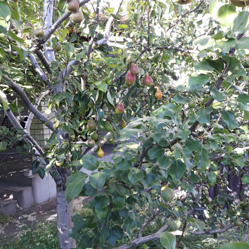 20230806_171242.jpg
