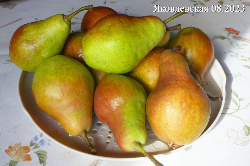 Гр7_2_2023.jpg