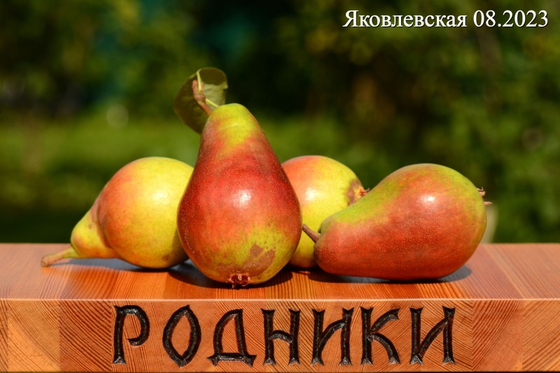 Гр7_1_2023.jpg