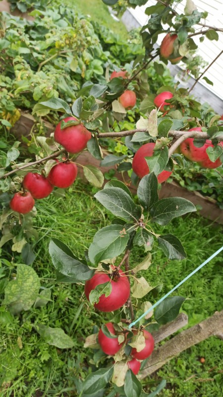 IMG-20230829-WA0032.jpeg