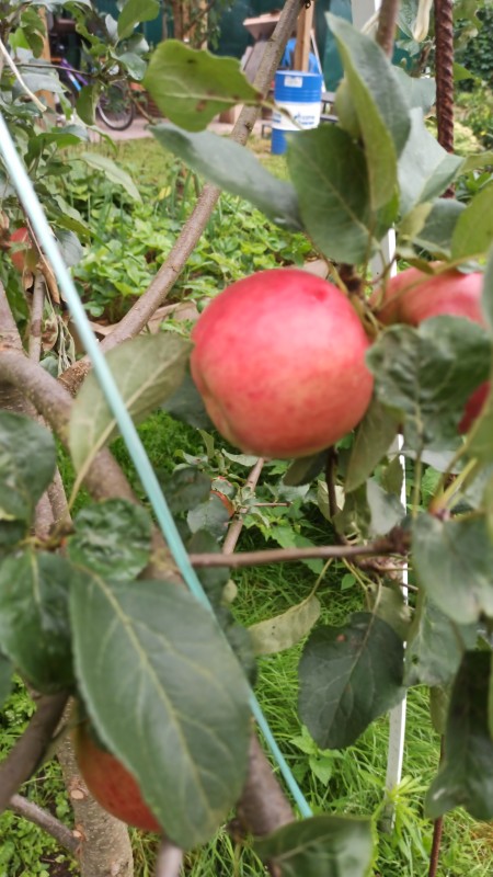 IMG-20230829-WA0021.jpeg