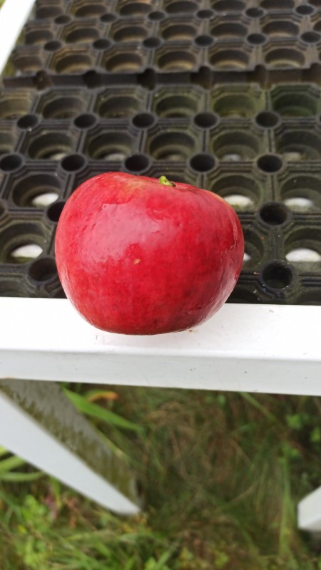 IMG-20230829-WA0036.jpeg
