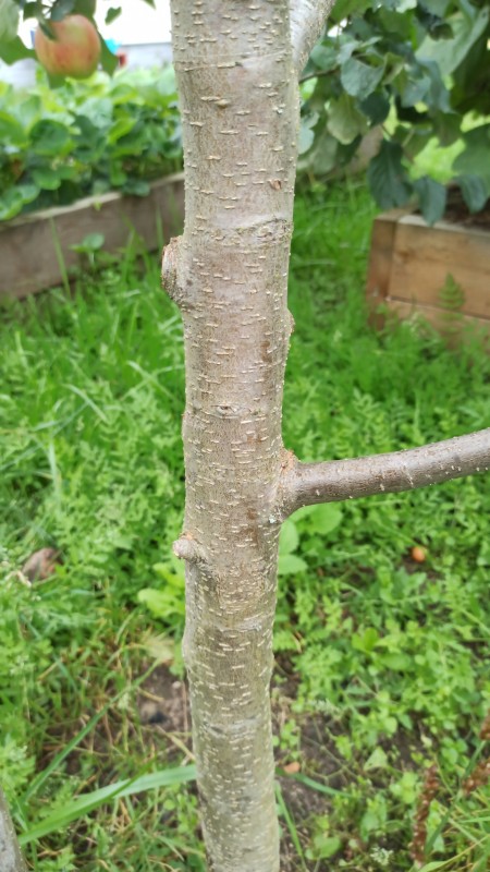 IMG-20230829-WA0046.jpeg