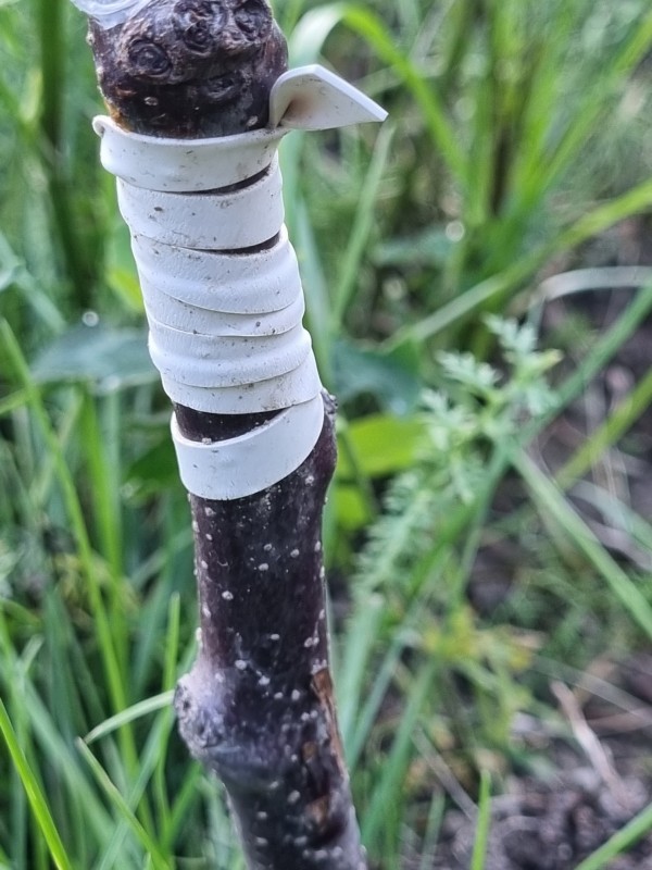 20230901_162111.jpg