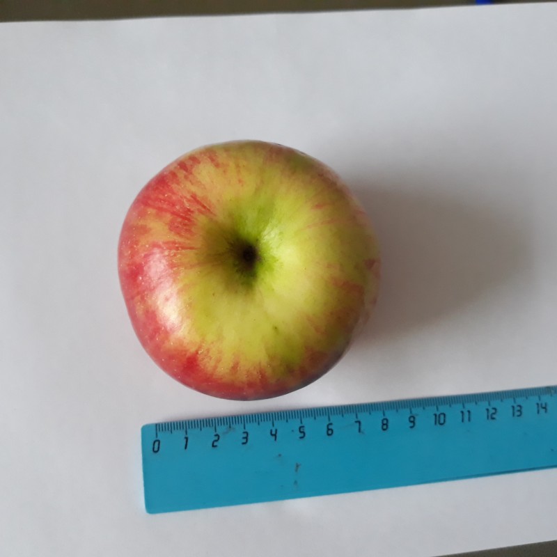 20230904_114721.jpg