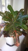 2014-09-15-1494.jpg