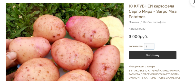 Screenshot 2023-09-07 at 01-10-05 10 КЛУБНЕЙ картофеля Сарпо Мира - Sarpo Mira Potatoes.png
