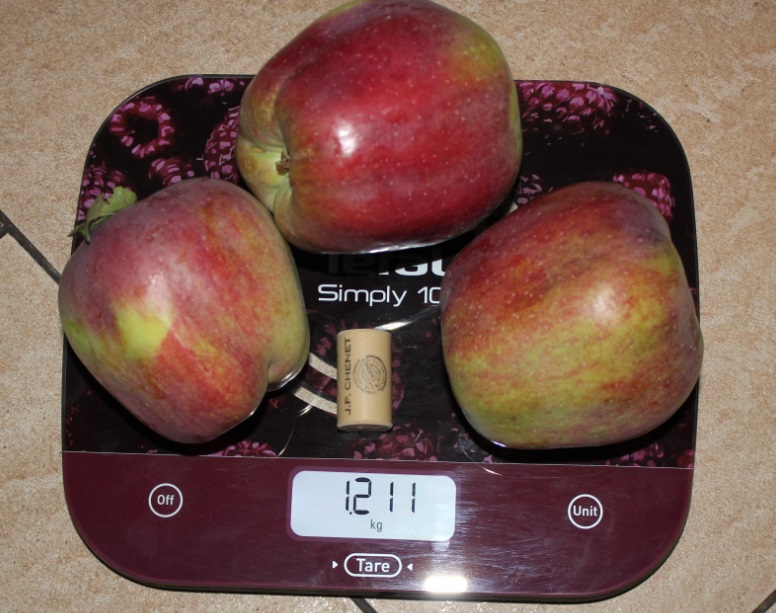 123.jpg
