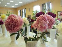 DSC03881 (Small).JPG