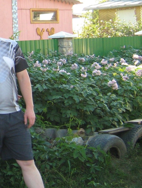 Каменский