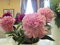 DSC03885 (Small).JPG